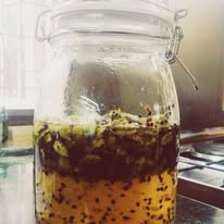 Slow fermentation process