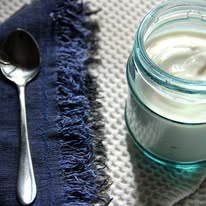 Greek Yogurt